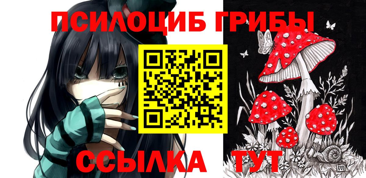 Псилоцибиновые грибы GOLDEN TEACHER Алейск